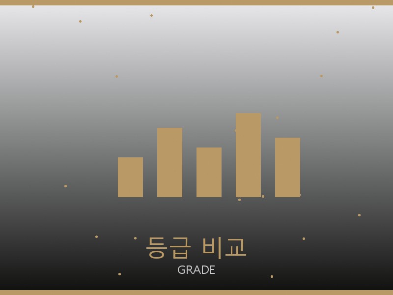 위블로 레플리카 사이트 등급 기준 비교